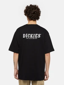 Футболки і поло Dickies Dickies Script модель DK0A863DBLK1 Фото