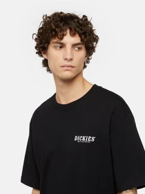 Футболки і поло Dickies Dickies Script модель DK0A863DBLK1 Фото