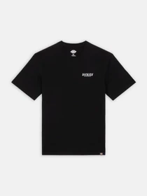 Футболки і поло Dickies Dickies Script модель DK0A863DBLK1 Фото