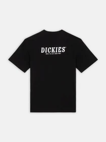Футболки і поло Dickies Dickies Script модель DK0A863DBLK1 Фото