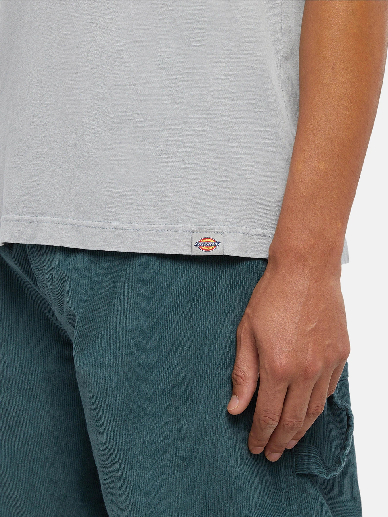 Футболки і поло Dickies Plentywood модель DK0A866BD061 Фото