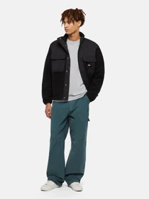 Футболки і поло Dickies Plentywood модель DK0A866BD061 Фото