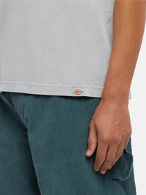 Футболки і поло Dickies Plentywood модель DK0A866BD061 Фото