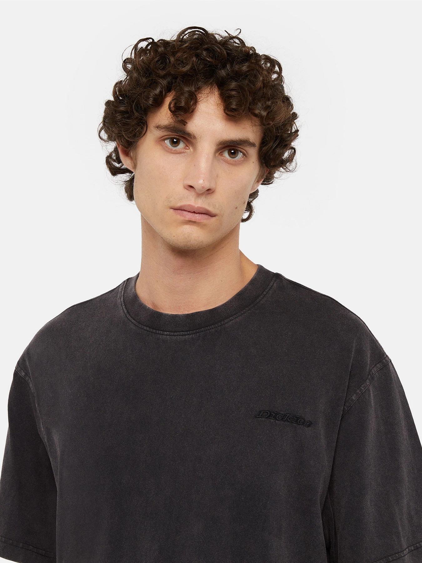 Футболки и поло Dickies Plentywood модель DK0A866BH861 Фото