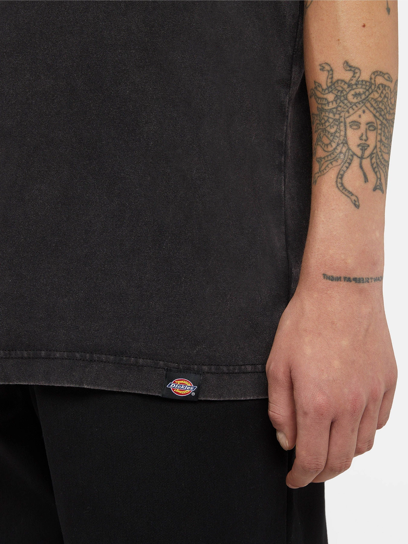 Футболки и поло Dickies Plentywood модель DK0A866BH861 Фото