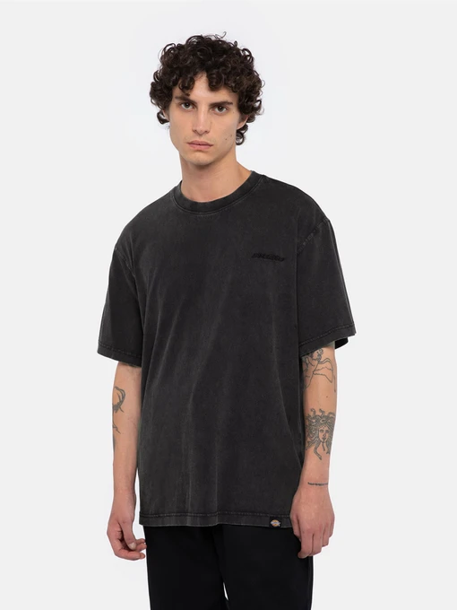 Футболки і поло Dickies Plentywood модель DK0A866BH861 Фото