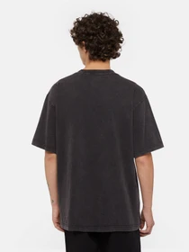 Футболки и поло Dickies Plentywood модель DK0A866BH861 Фото