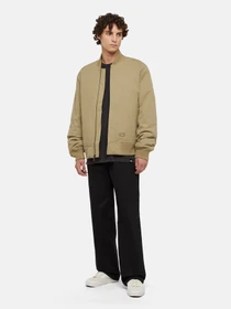 Футболки и поло Dickies Plentywood модель DK0A866BH861 Фото
