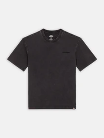 Футболки и поло Dickies Plentywood модель DK0A866BH861 Фото