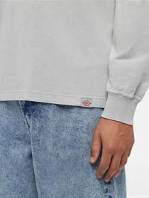 Худи и свитшоты Dickies Plentywood модель DK0A866CD061 Фото