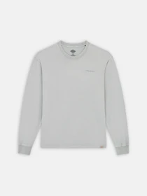 Худи и свитшоты Dickies Plentywood модель DK0A866CD061 Фото