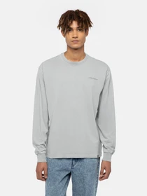 Худи и свитшоты Dickies Plentywood модель DK0A866CD061 Фото