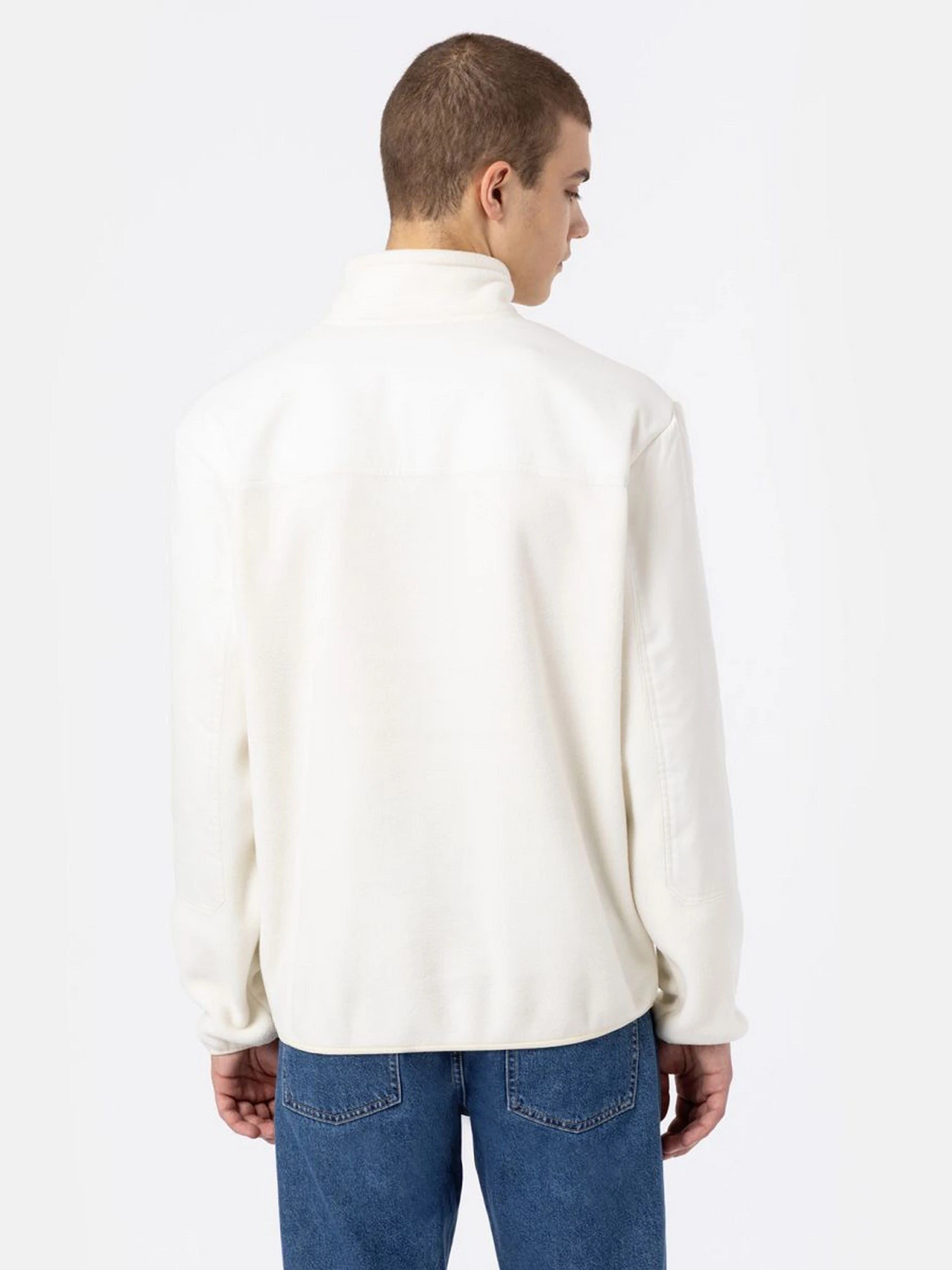 Худи и свитшоты Dickies Port Allen Fleece модель DK0A4XFSECR1 Худи и свитшоты Dickies Port Allen Fleece модель DK0A4XFSECR1 Фото