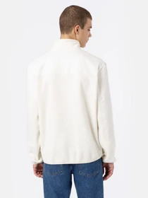 Худи и свитшоты Dickies Port Allen Fleece модель DK0A4XFSECR1 Фото