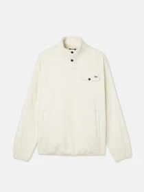 Худи и свитшоты Dickies Port Allen Fleece модель DK0A4XFSECR1 Фото