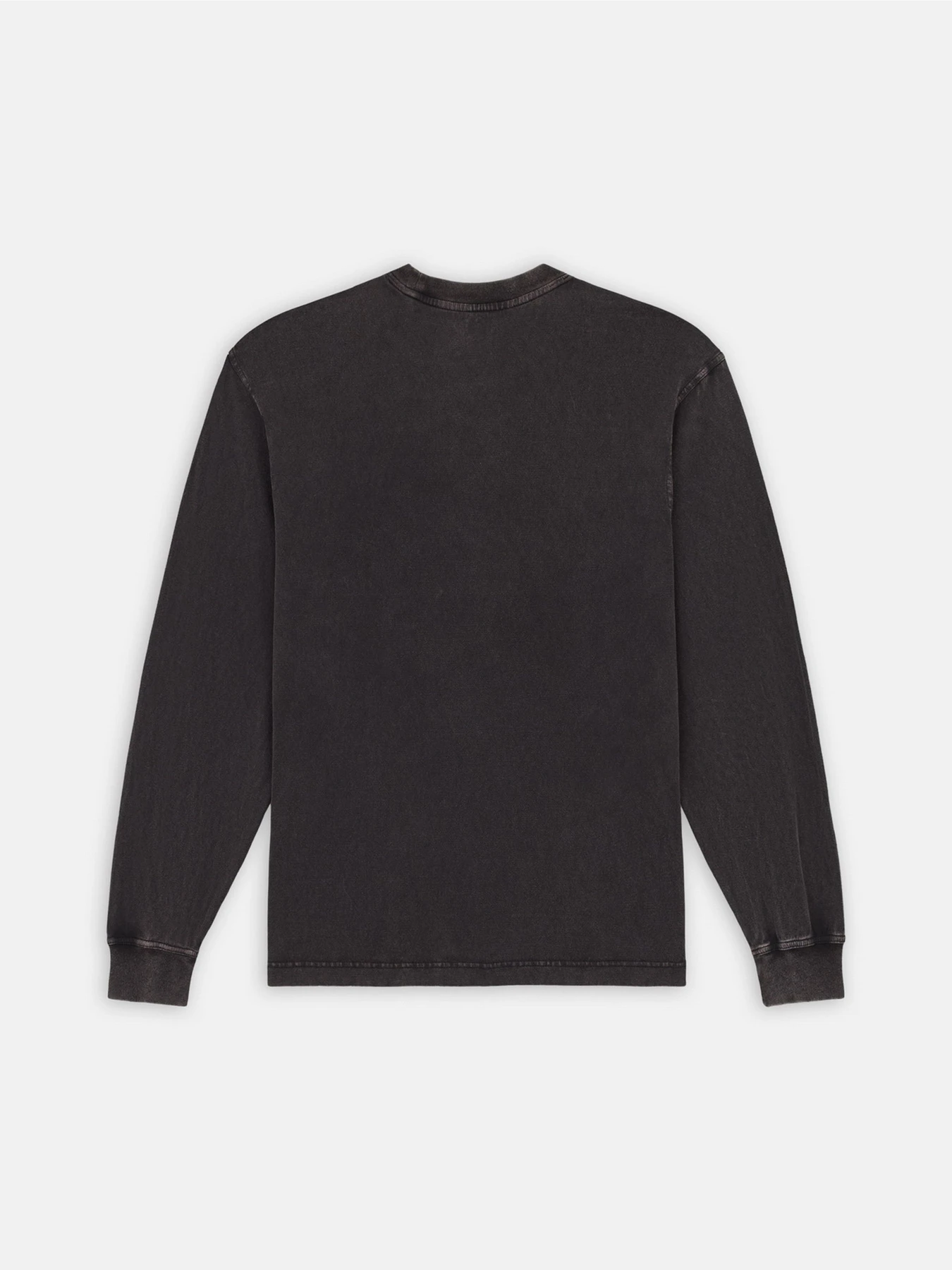 Худи и свитшоты Dickies Plentywood модель DK0A866CH861 Худи и свитшоты Dickies Plentywood модель DK0A866CH861 Фото