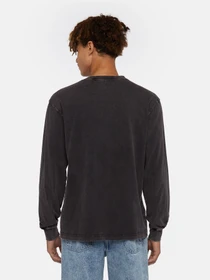 Худи и свитшоты Dickies Plentywood модель DK0A866CH861 Фото