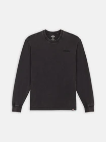 Худи и свитшоты Dickies Plentywood модель DK0A866CH861 Фото