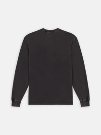 Худи и свитшоты Dickies Plentywood модель DK0A866CH861 Фото