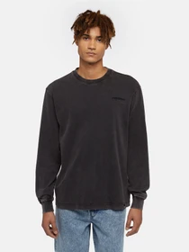 Худи и свитшоты Dickies Plentywood модель DK0A866CH861 Фото