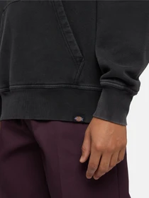 Худі та світшоти Dickies Plentywood модель DK0A866DBLK1 Фото