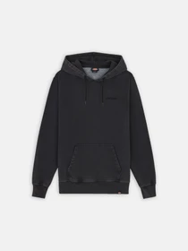Худі та світшоти Dickies Plentywood модель DK0A866DBLK1 Фото