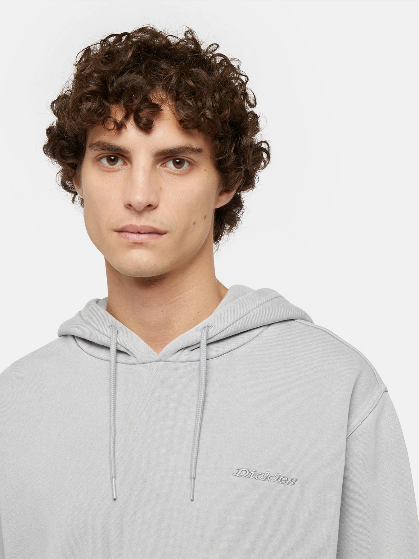 Худі та світшоти Dickies Plentywood модель DK0A866DD061 Худі та світшоти Dickies Plentywood модель DK0A866DD061 Фото