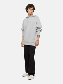 Худі та світшоти Dickies Plentywood модель DK0A866DD061 Фото