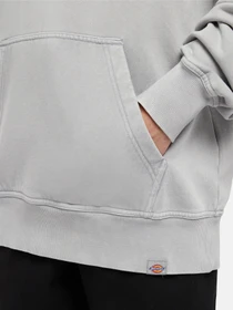 Худі та світшоти Dickies Plentywood модель DK0A866DD061 Фото