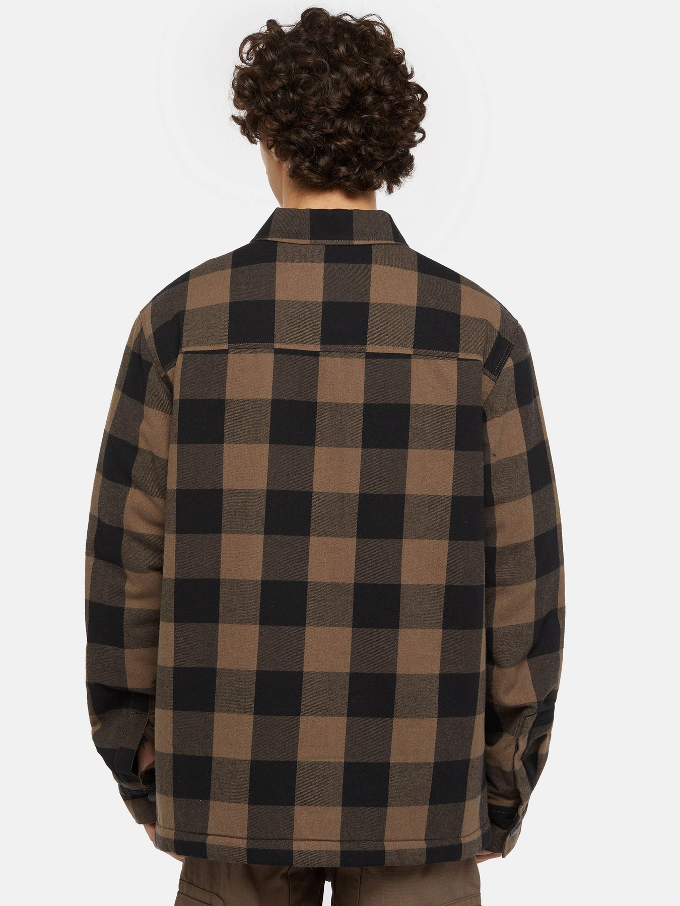 Рубашки Dickies Lined Sacramento модель DK0A4XGRMR11 Фото
