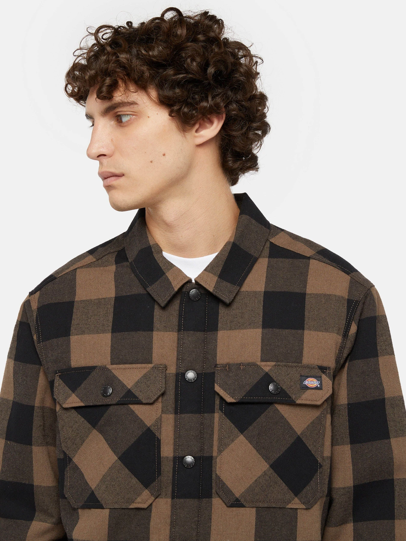 Рубашки Dickies Lined Sacramento модель DK0A4XGRMR11 Фото