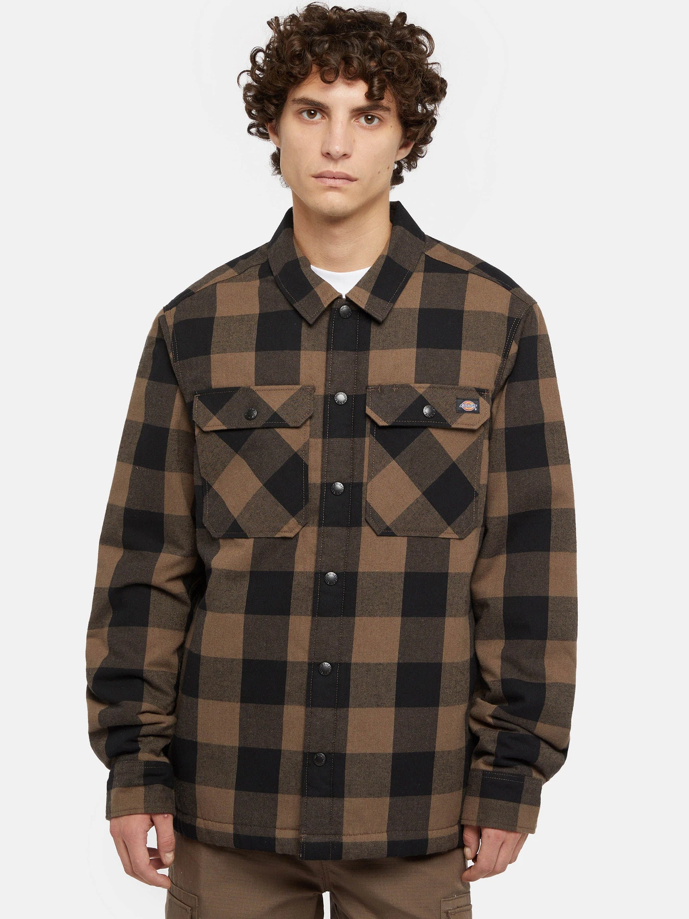 Рубашки Dickies Lined Sacramento модель DK0A4XGRMR11 Фото