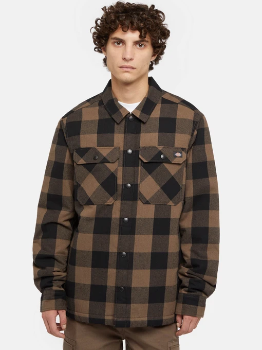Рубашки Dickies Lined Sacramento модель DK0A4XGRMR11 Фото