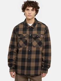 Рубашки Dickies Lined Sacramento модель DK0A4XGRMR11 Фото