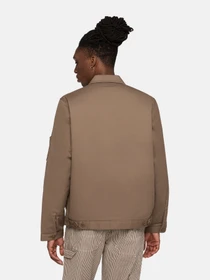 Куртки та дублянки Dickies Lined Eisenhower модель DK0A4XK4MR11 Фото