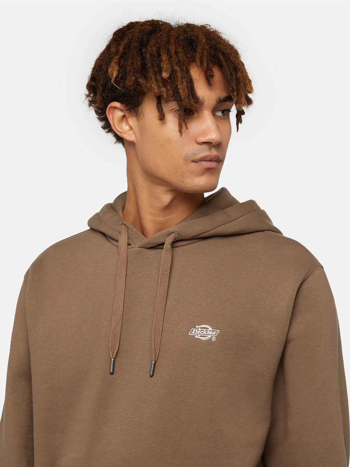 Худи и свитшоты Dickies Summerdale модель DK0A4Y6PMR11 Фото