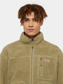 Худи и свитшоты Dickies Mount Hope Fleece Imperial модель DK0A4YEE0IP1 Фото
