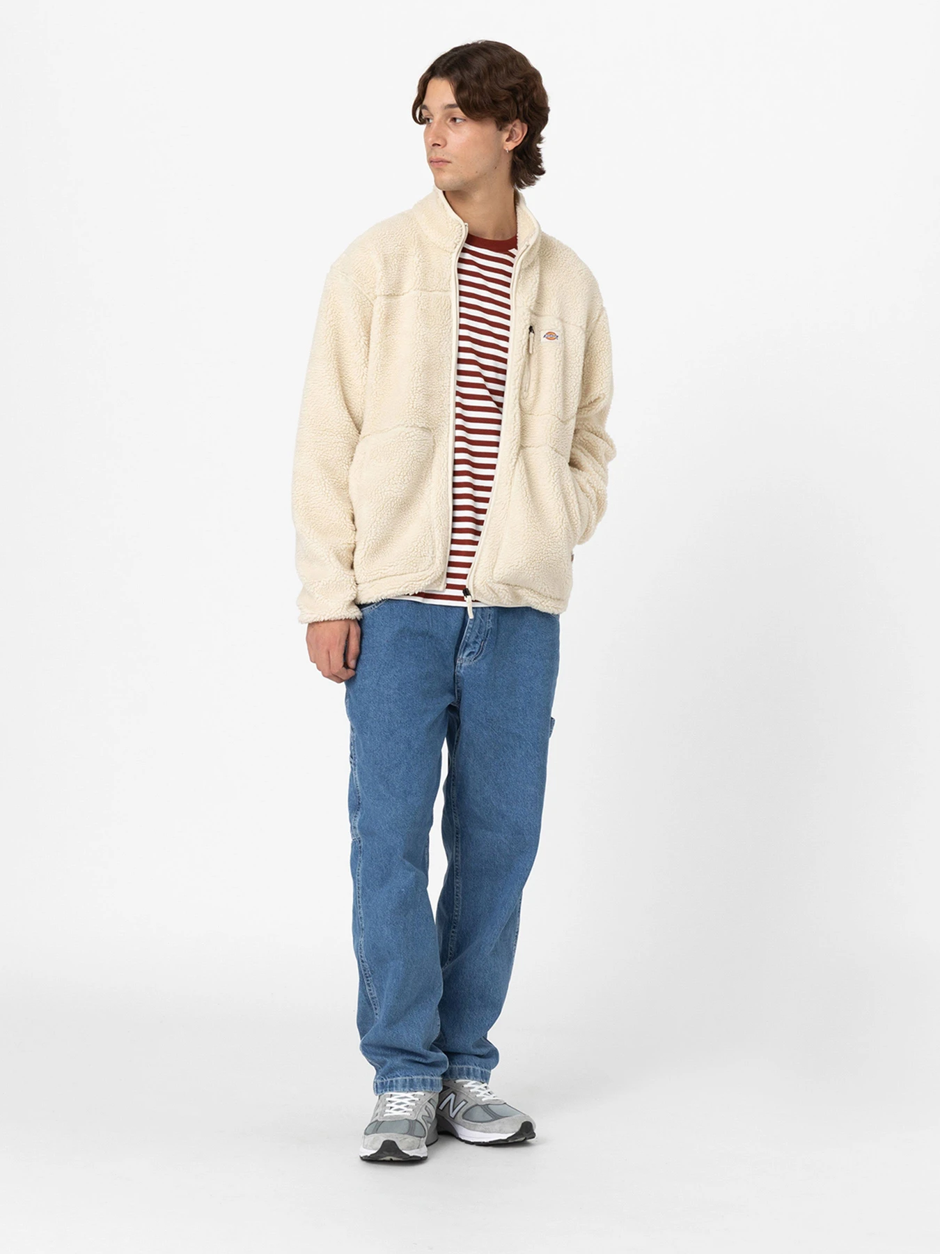 Худі та світшоти Dickies Mount Hope Fleece Whitecap модель DK0A4YEEF901 Фото