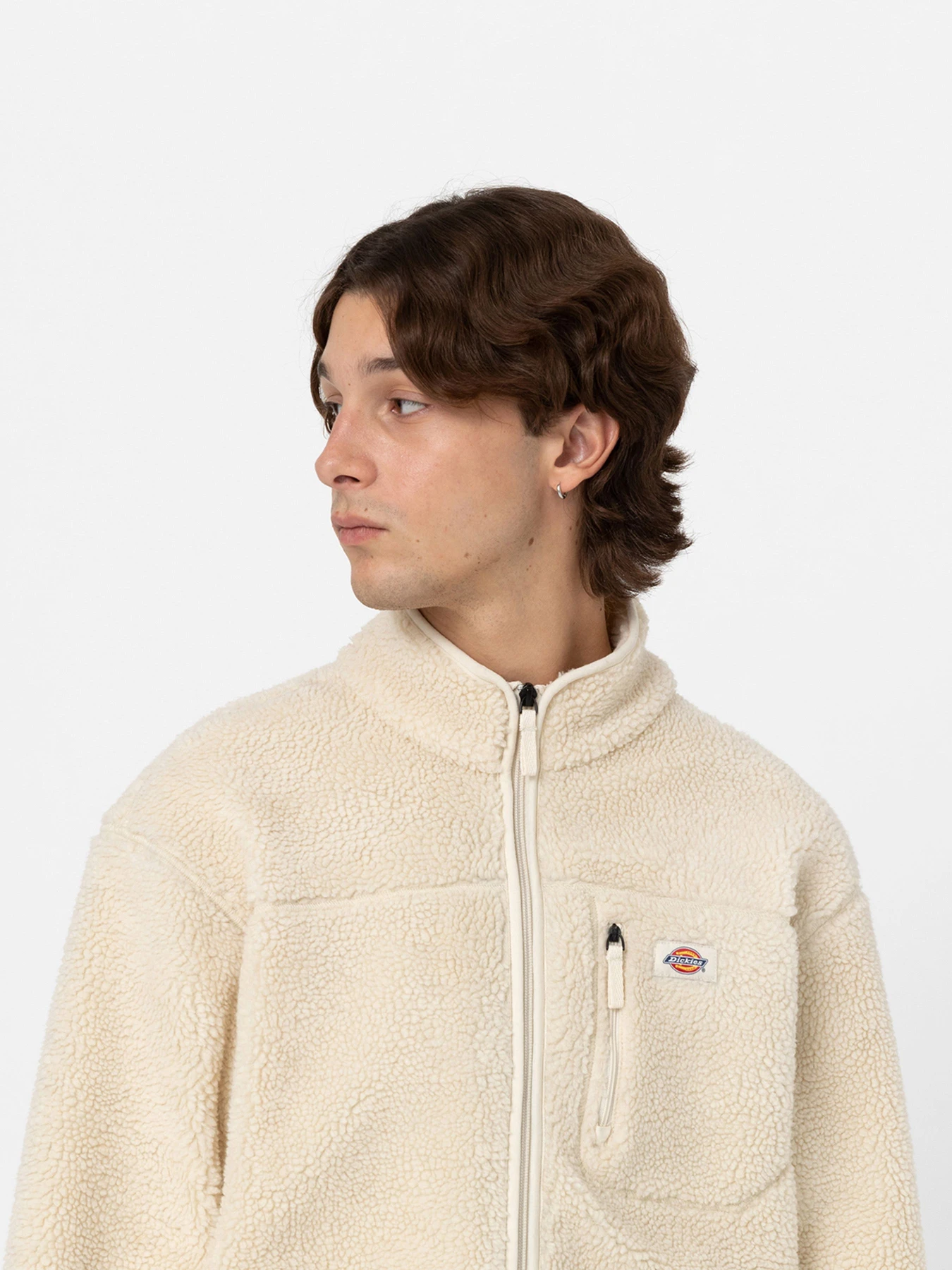 Худі та світшоти Dickies Mount Hope Fleece Whitecap модель DK0A4YEEF901 Фото
