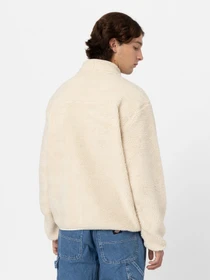 Худі та світшоти Dickies Mount Hope Fleece Whitecap модель DK0A4YEEF901 Фото