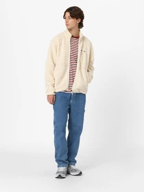 Худі та світшоти Dickies Mount Hope Fleece Whitecap модель DK0A4YEEF901 Фото