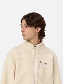 Худі та світшоти Dickies Mount Hope Fleece Whitecap модель DK0A4YEEF901 Фото