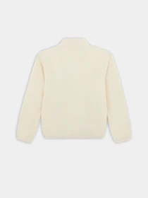 Худі та світшоти Dickies Mount Hope Fleece Whitecap модель DK0A4YEEF901 Фото