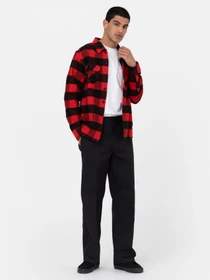 Брюки Dickies Double Knee Rec модель DK0A4XK3BLK1 Фото