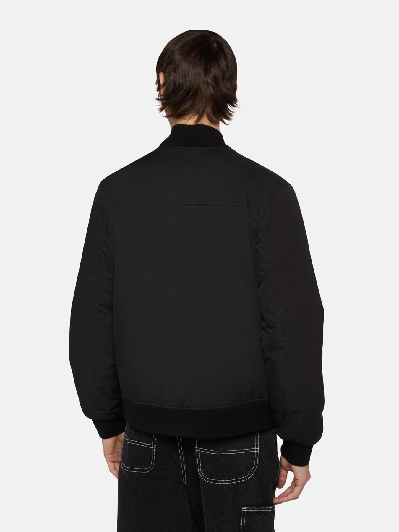 Куртки та дублянки Dickies Plains модель DK0A4Z4MBLK1 Куртки та дублянки Dickies Plains модель DK0A4Z4MBLK1 Фото