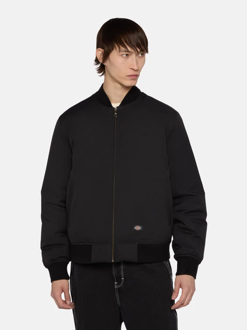 Куртки та дублянки Dickies Plains модель DK0A4Z4MBLK1 Фото