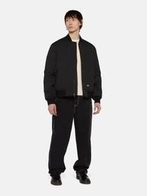 Куртки та дублянки Dickies Plains модель DK0A4Z4MBLK1 Фото