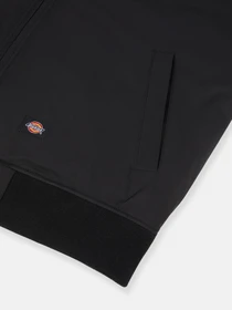 Куртки та дублянки Dickies Plains модель DK0A4Z4MBLK1 Фото