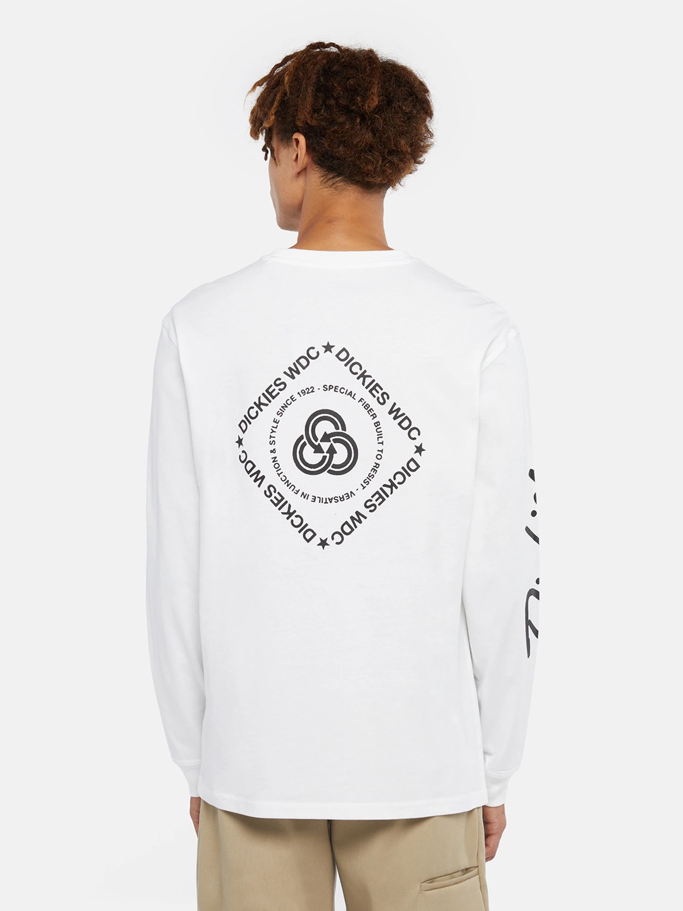 Худи и свитшоты Dickies Graphic модель DK0A85SW0WH1 Худи и свитшоты Dickies Graphic модель DK0A85SW0WH1 Фото