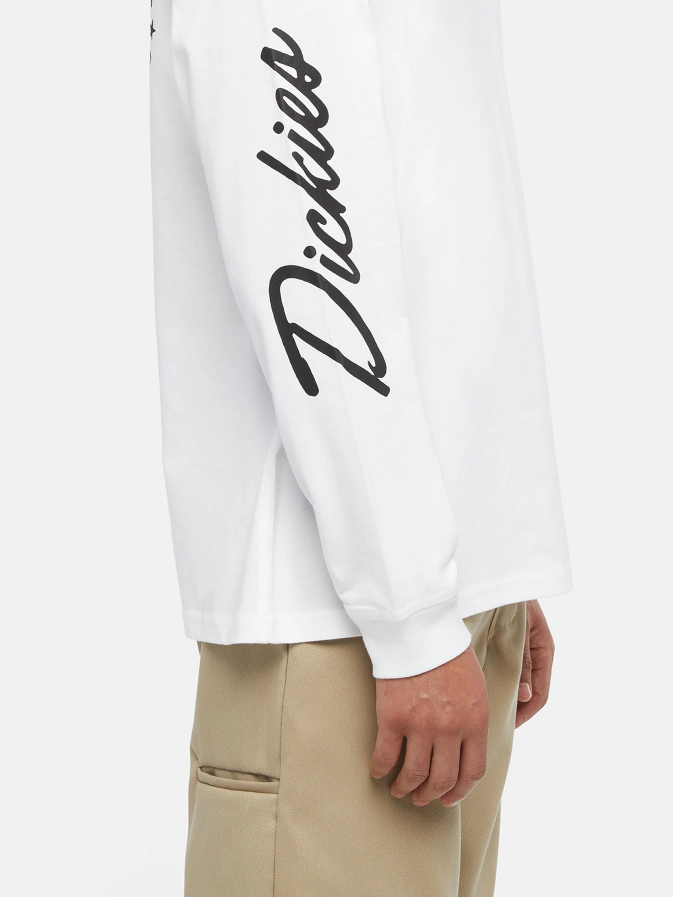 Худи и свитшоты Dickies Graphic модель DK0A85SW0WH1 Худи и свитшоты Dickies Graphic модель DK0A85SW0WH1 Фото